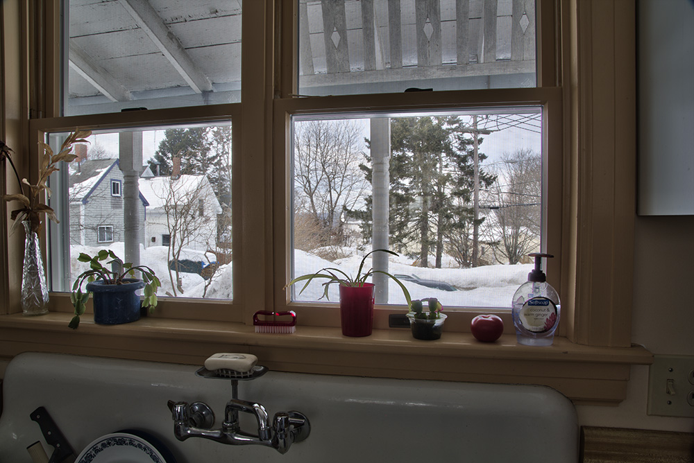 Out the kitchen window 20150309 x 1000.jpg